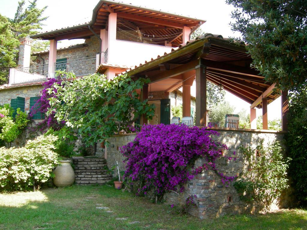 B&B Le Palme Амелия Экстерьер фото