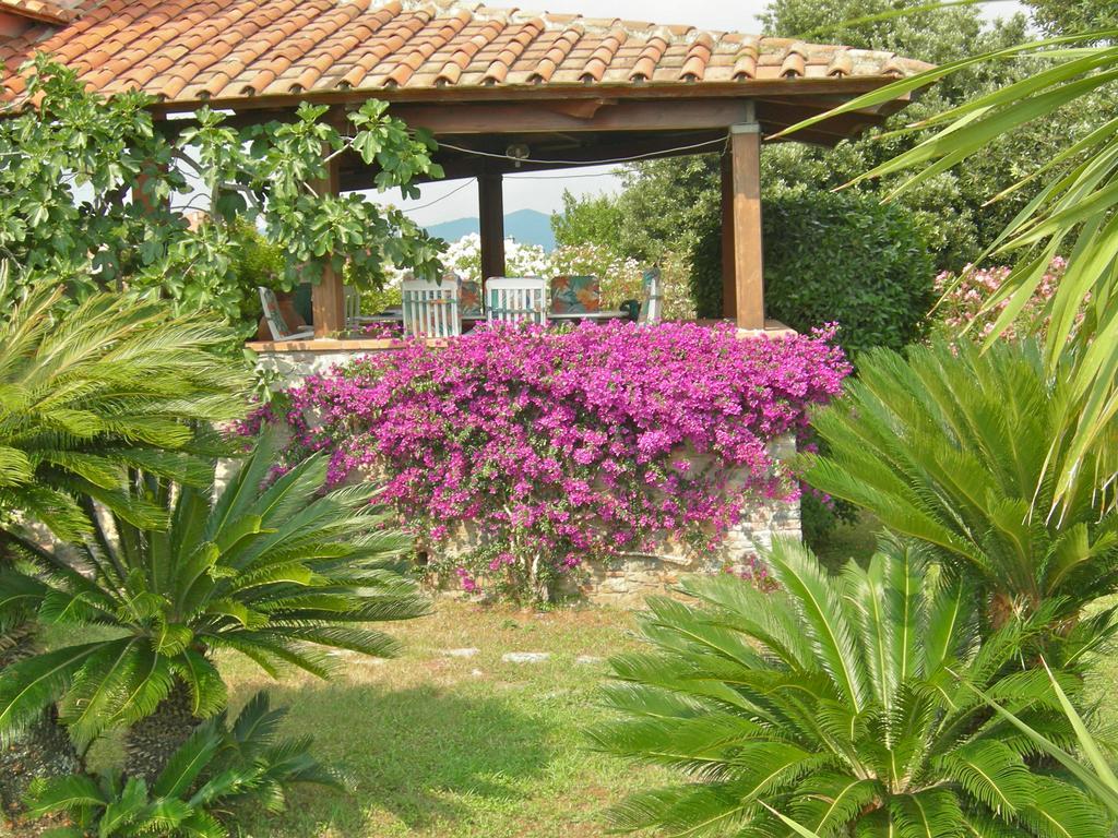 B&B Le Palme Амелия Экстерьер фото